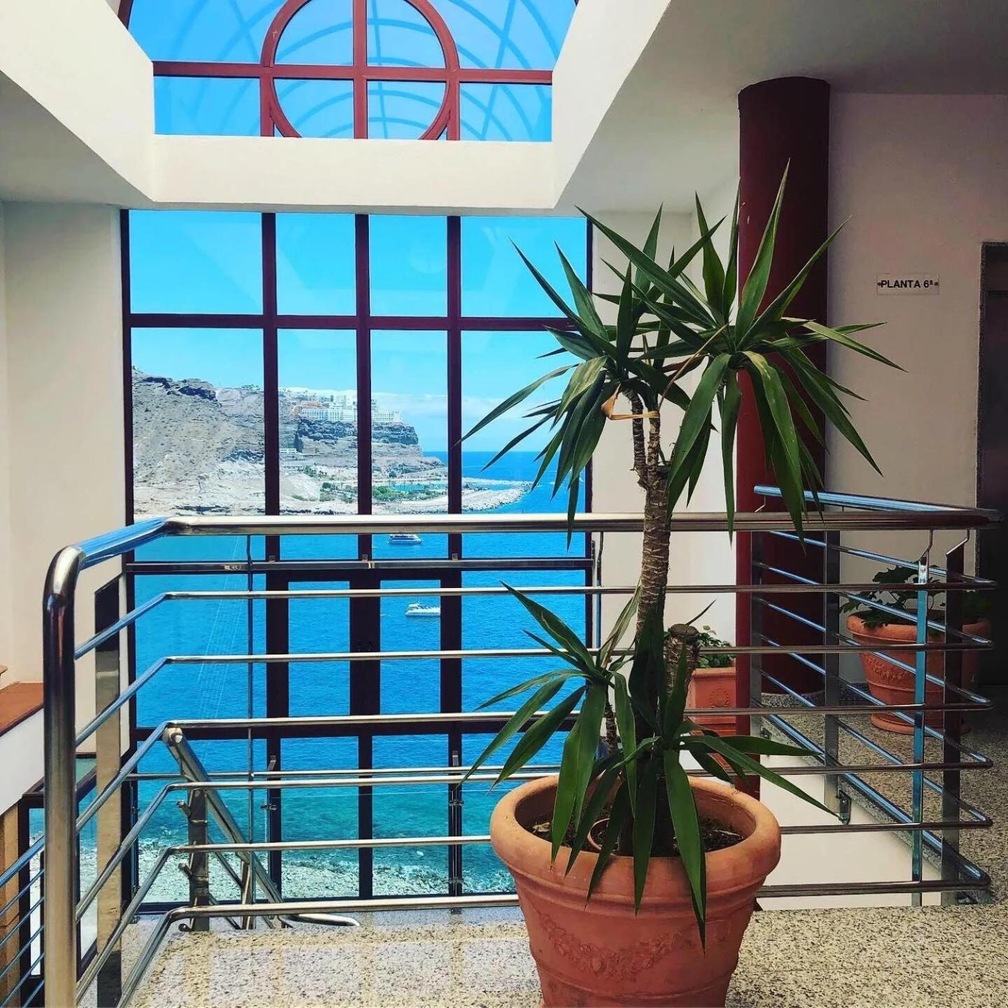 Apartment With Ocean View 皮拉亚德尔库拉 外观 照片